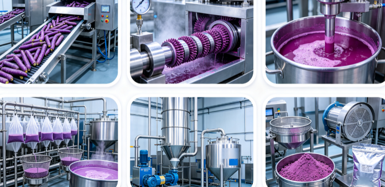 Spray drying process flowchart for anthocyanin retention from purple carrot